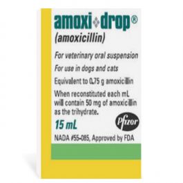 AMOXI 50MG DROPS